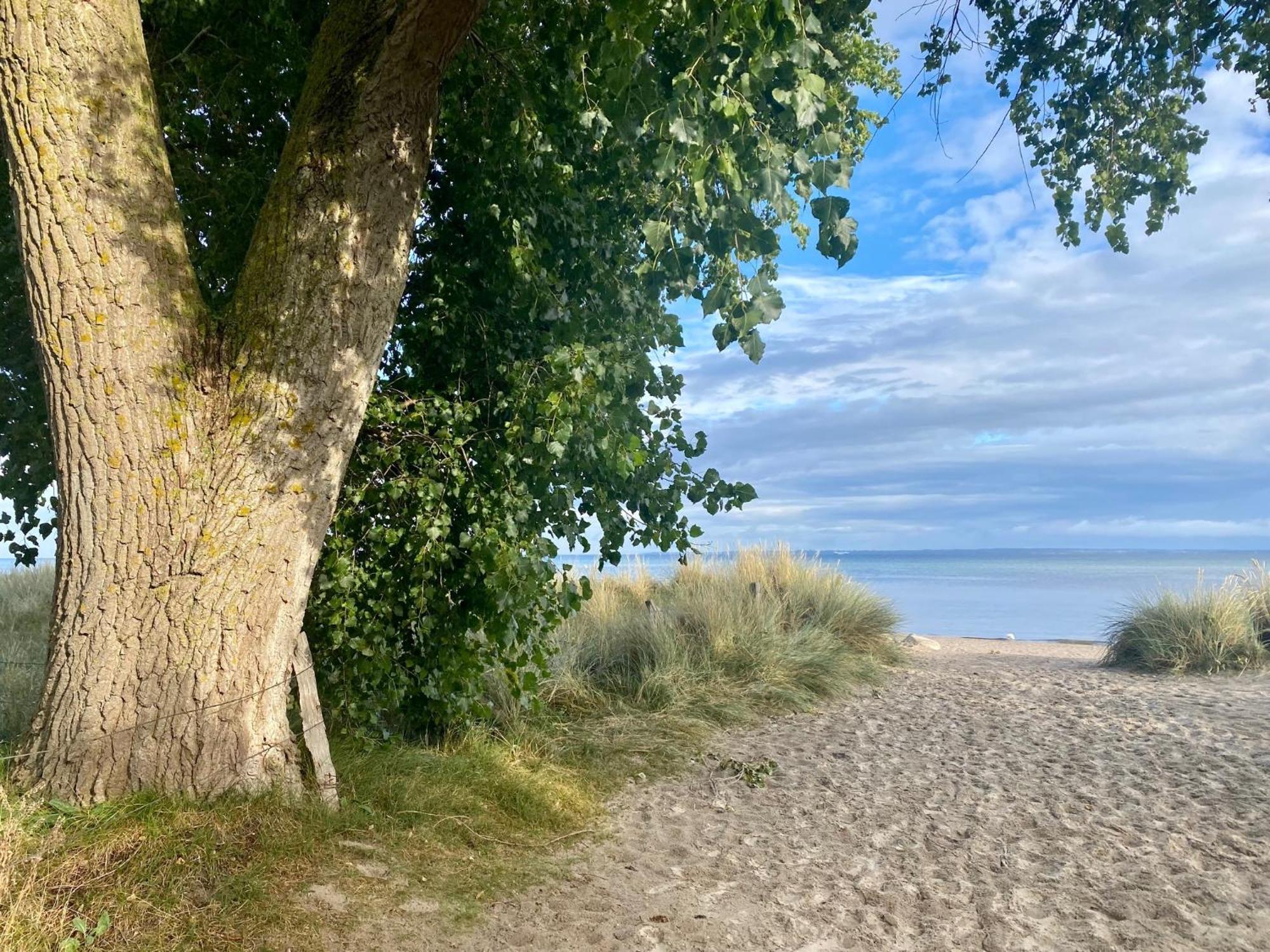 Feriendorf Suedstrand Haus 04 Pelzerhaken Eksteriør billede